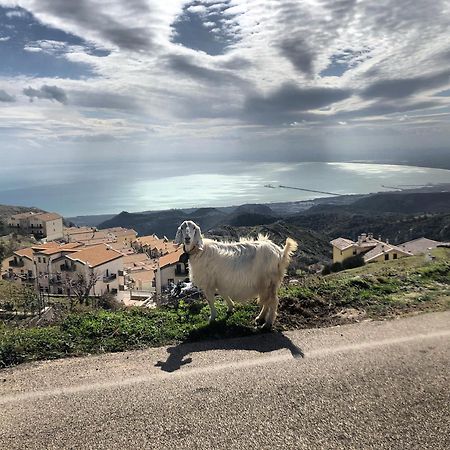 Bed and Breakfast Al DOLMEN Monte SantʼAngelo Exterior foto