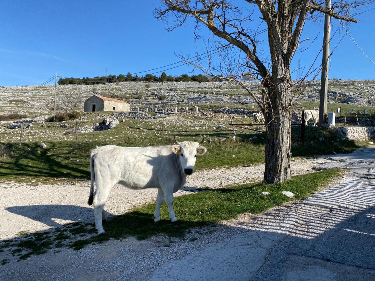 Bed and Breakfast Al DOLMEN Monte SantʼAngelo Exterior foto