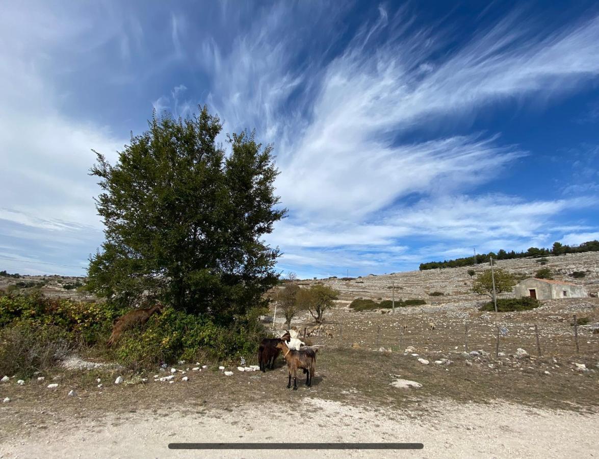 Bed and Breakfast Al DOLMEN Monte SantʼAngelo Exterior foto
